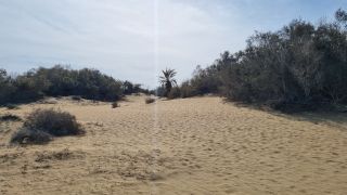 2023-GC--Mapalomas dunas-S123-183.jpg